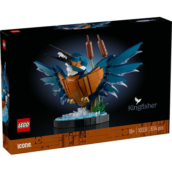 10331 Kingfisher Bird