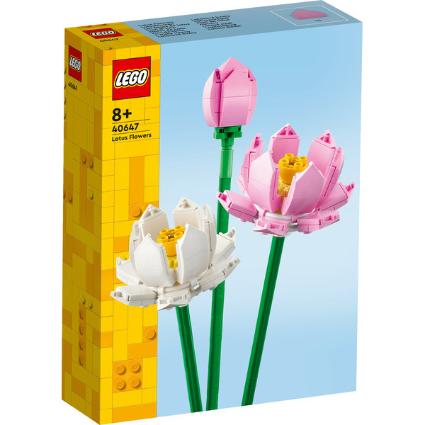 40647 Lotus Flowers