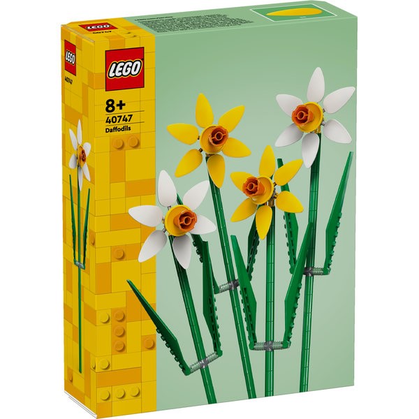 40747 Daffodils