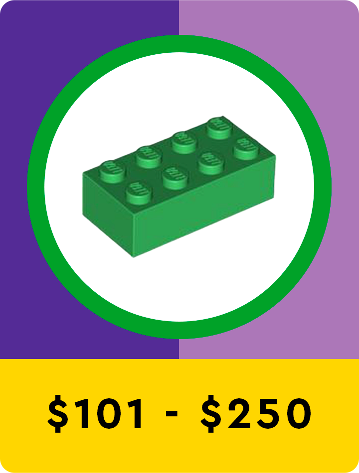 Price Range $101 - $250